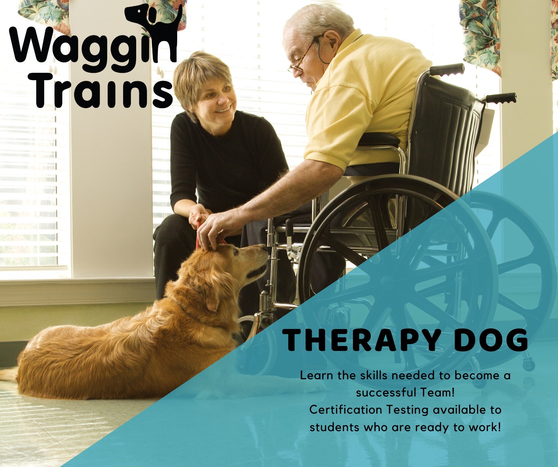 Therapy Dog--Wed, July 1st@ 6pm