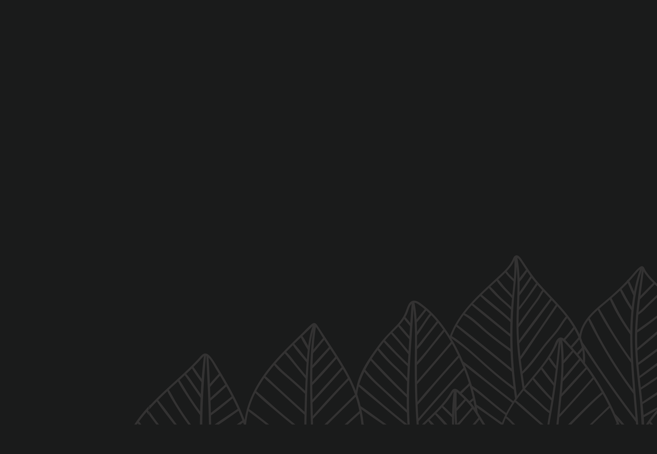 patternblack-02.png