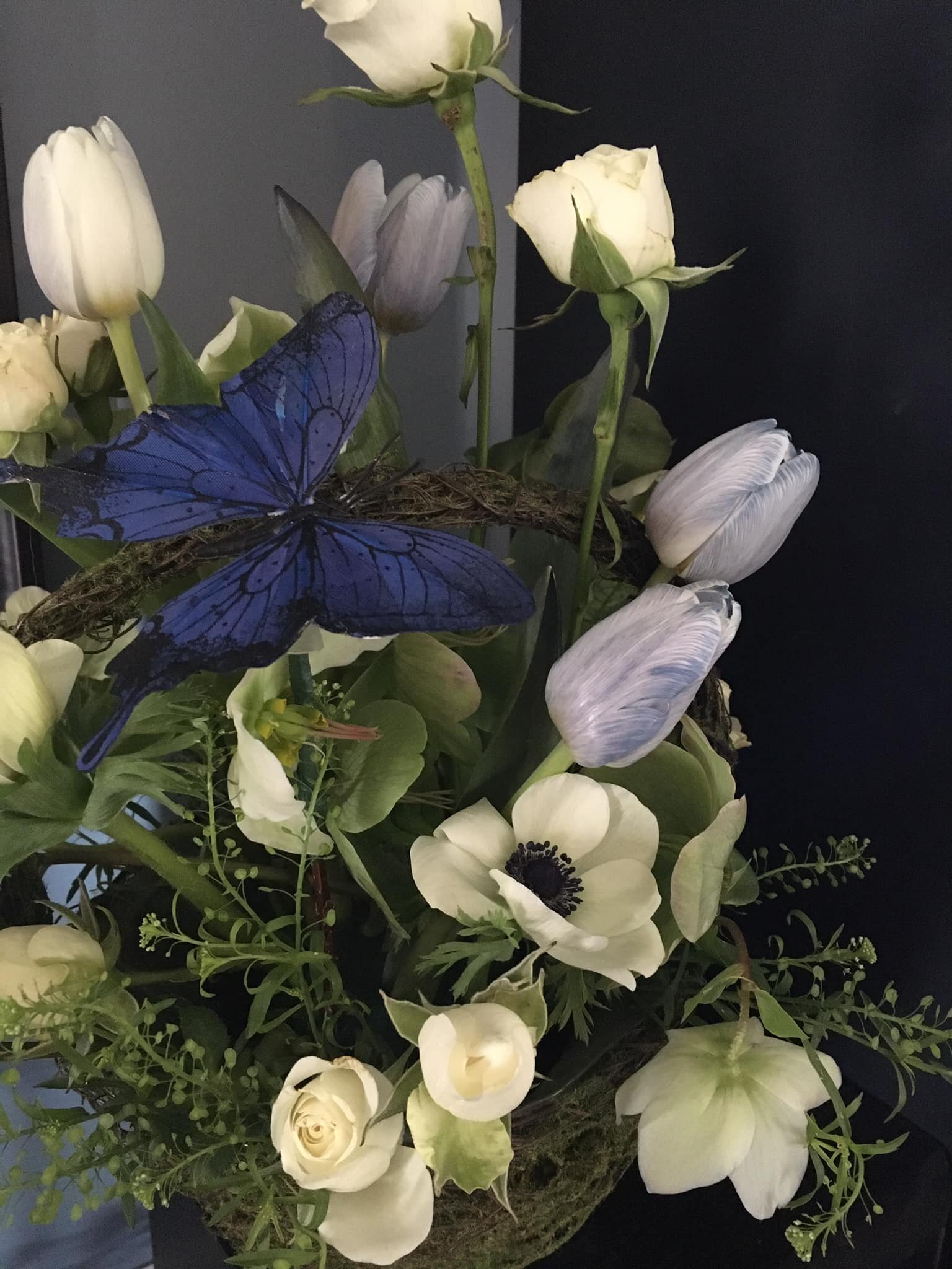 moss basket, blue tinted tulips, hellebores, spray roses anemone $60