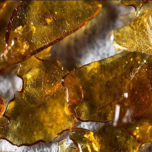 Embark Cannabis Quality Purity Extraction Bubbleman 11.png