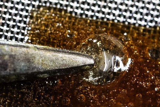 Embark Cannabis Quality Purity Extraction Bubbleman 22.png