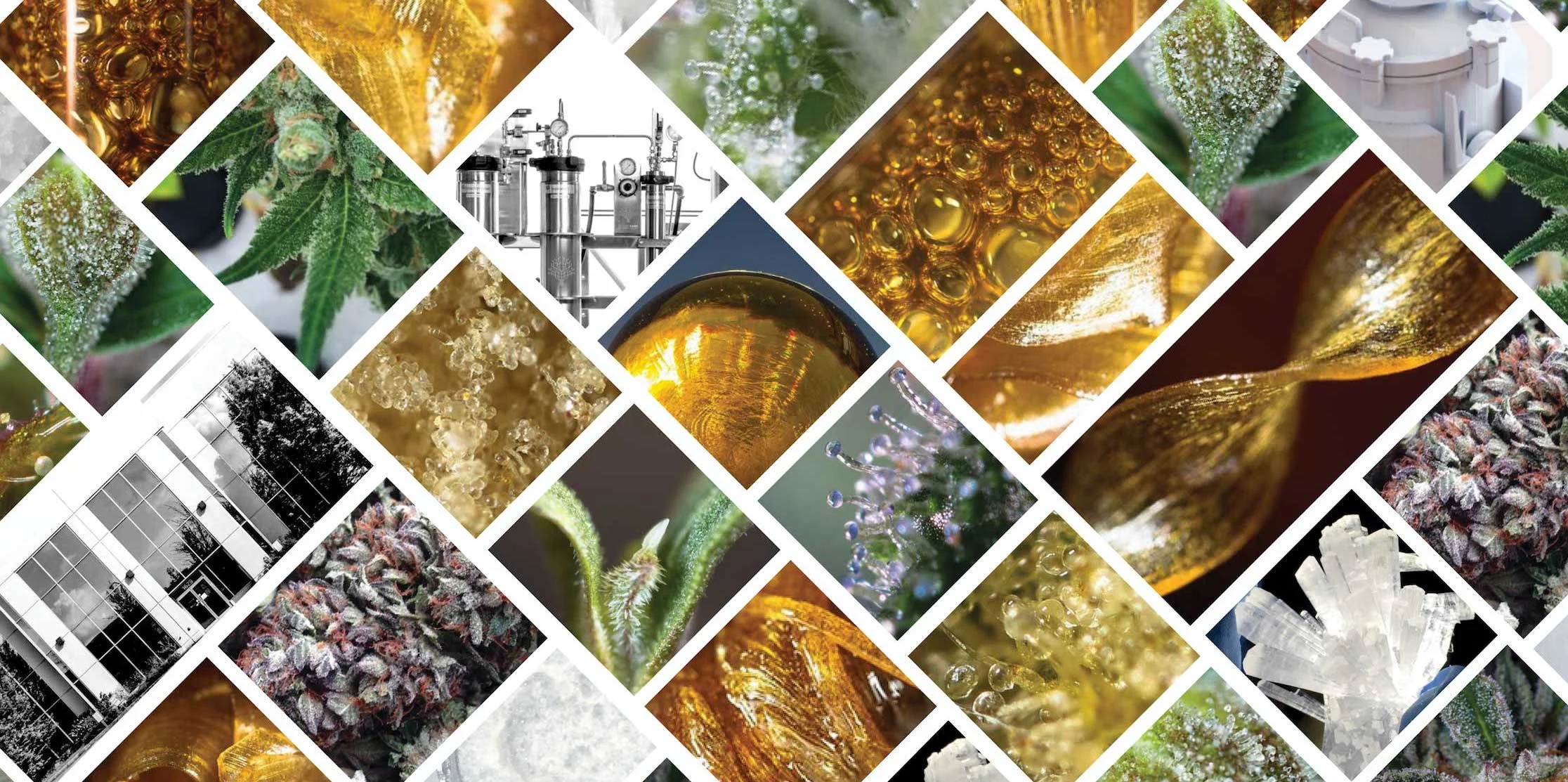 THC extraction,  CBD extraction,  rosin extraction,  kief extraction,