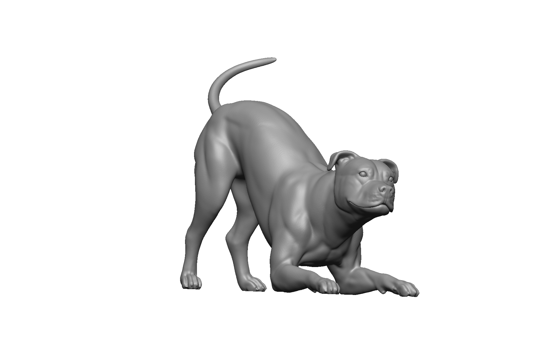 Pitbull_Playbow.png