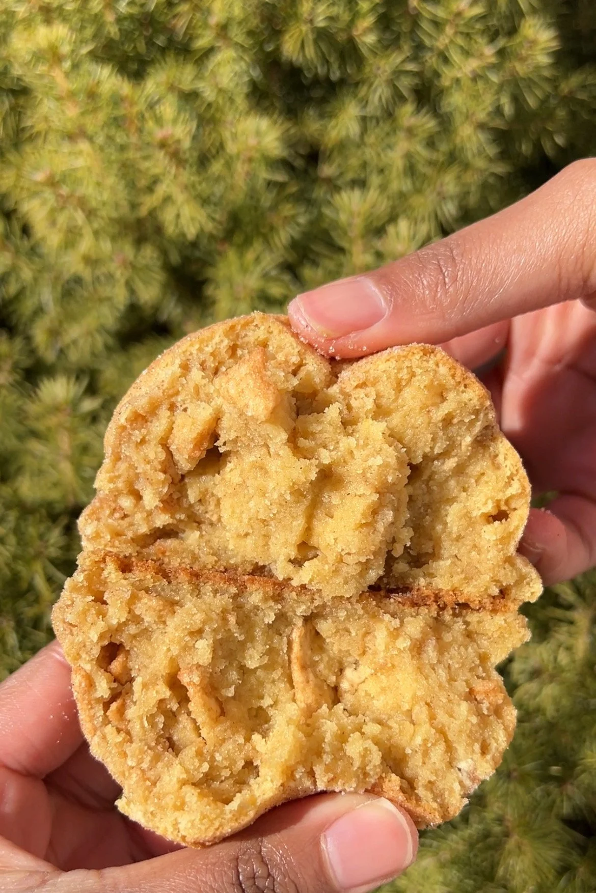 brown sugar poptart 2.jpeg