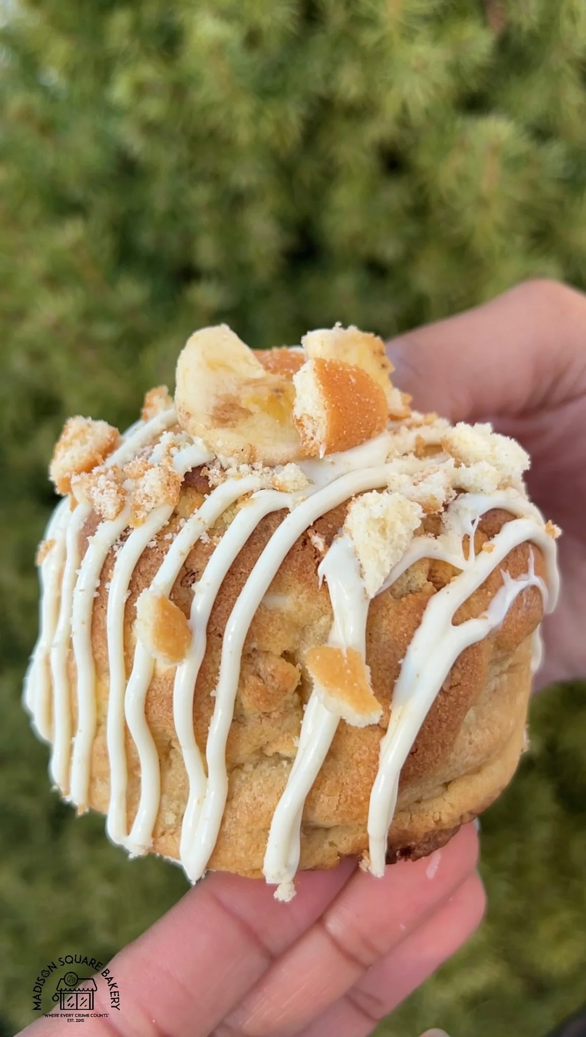 Dr. Umar (Banana Pudding)