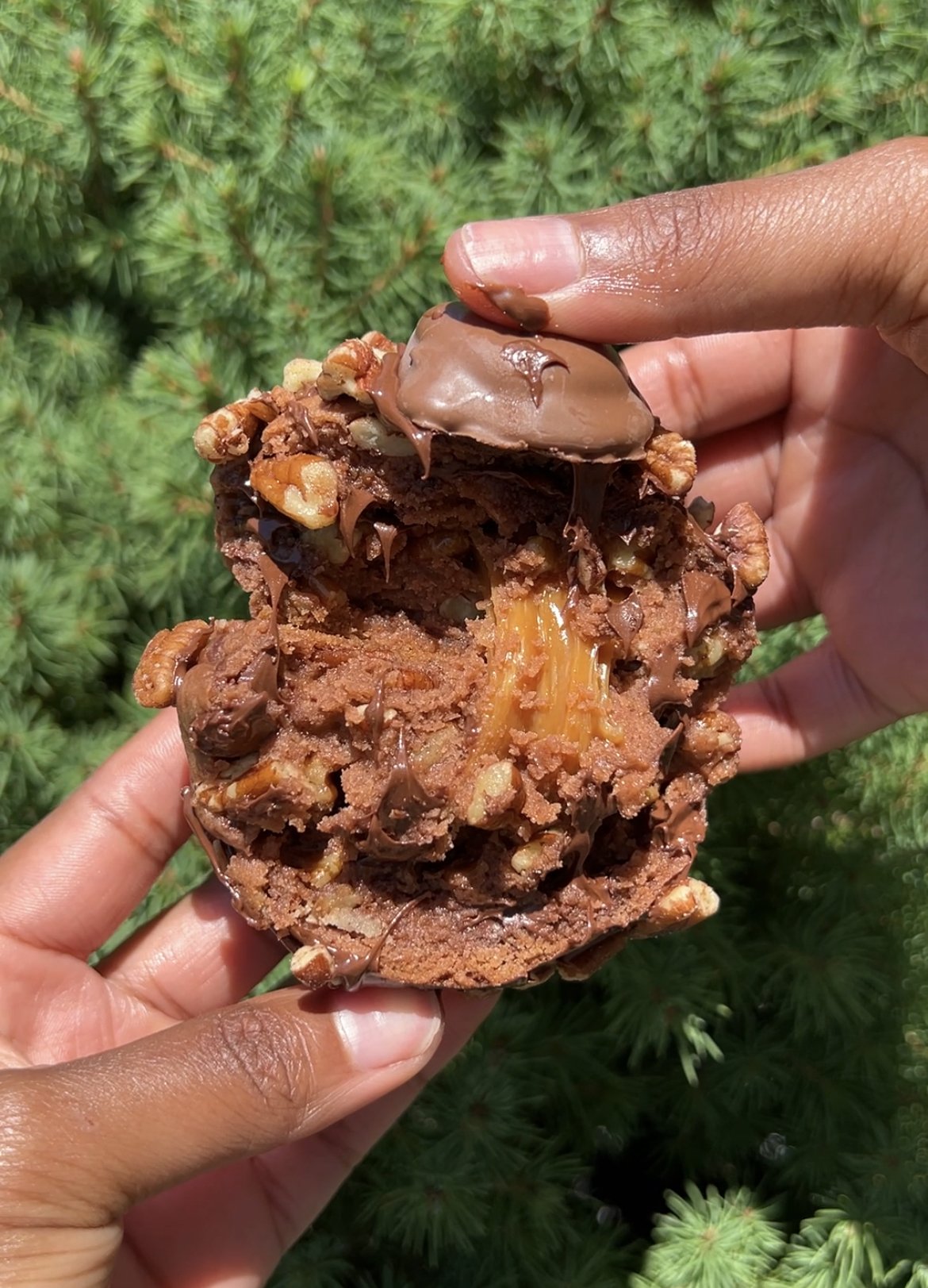 chocolate turtles 2.jpg