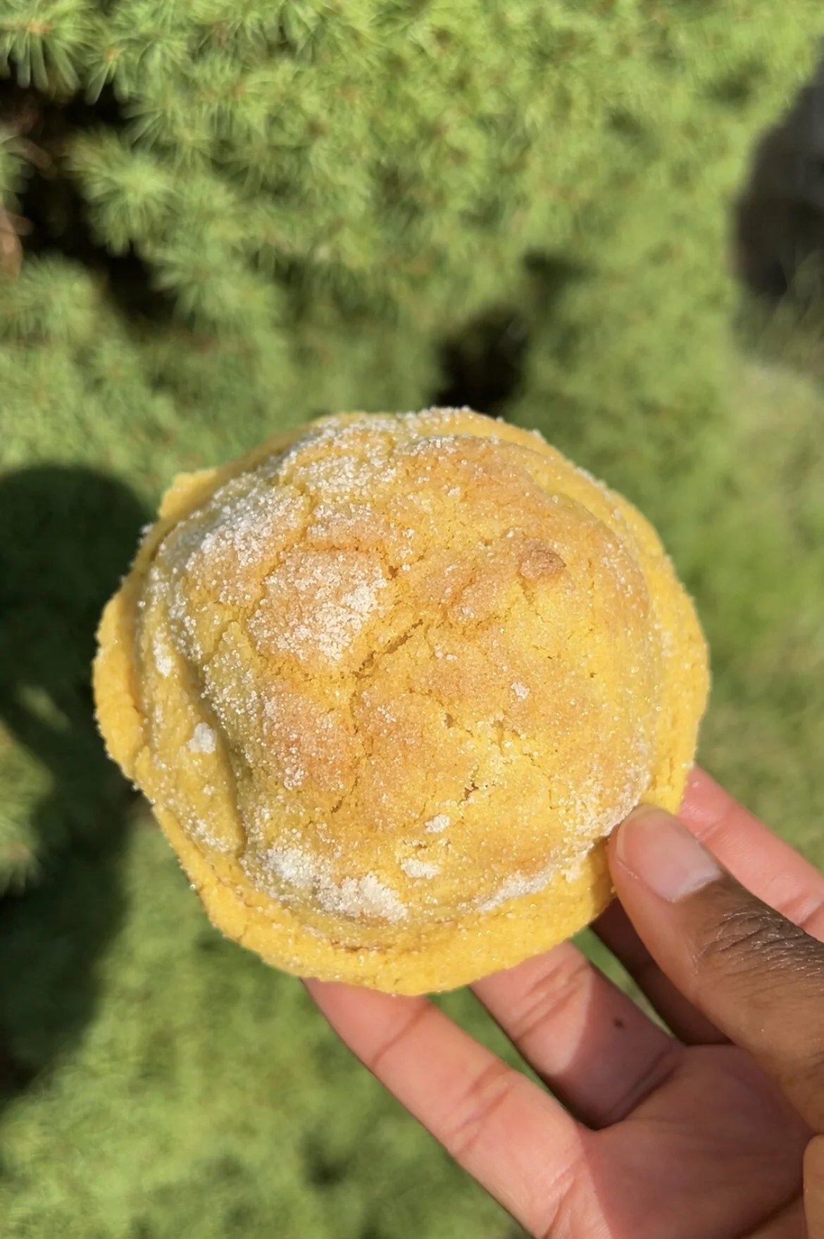 23CD8AF2-DB4A-4CCC-AE7A-614884C78757