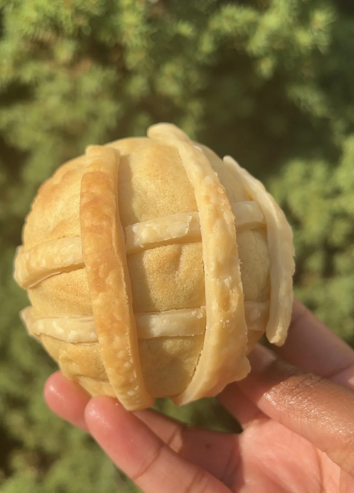 apple pie.jpg