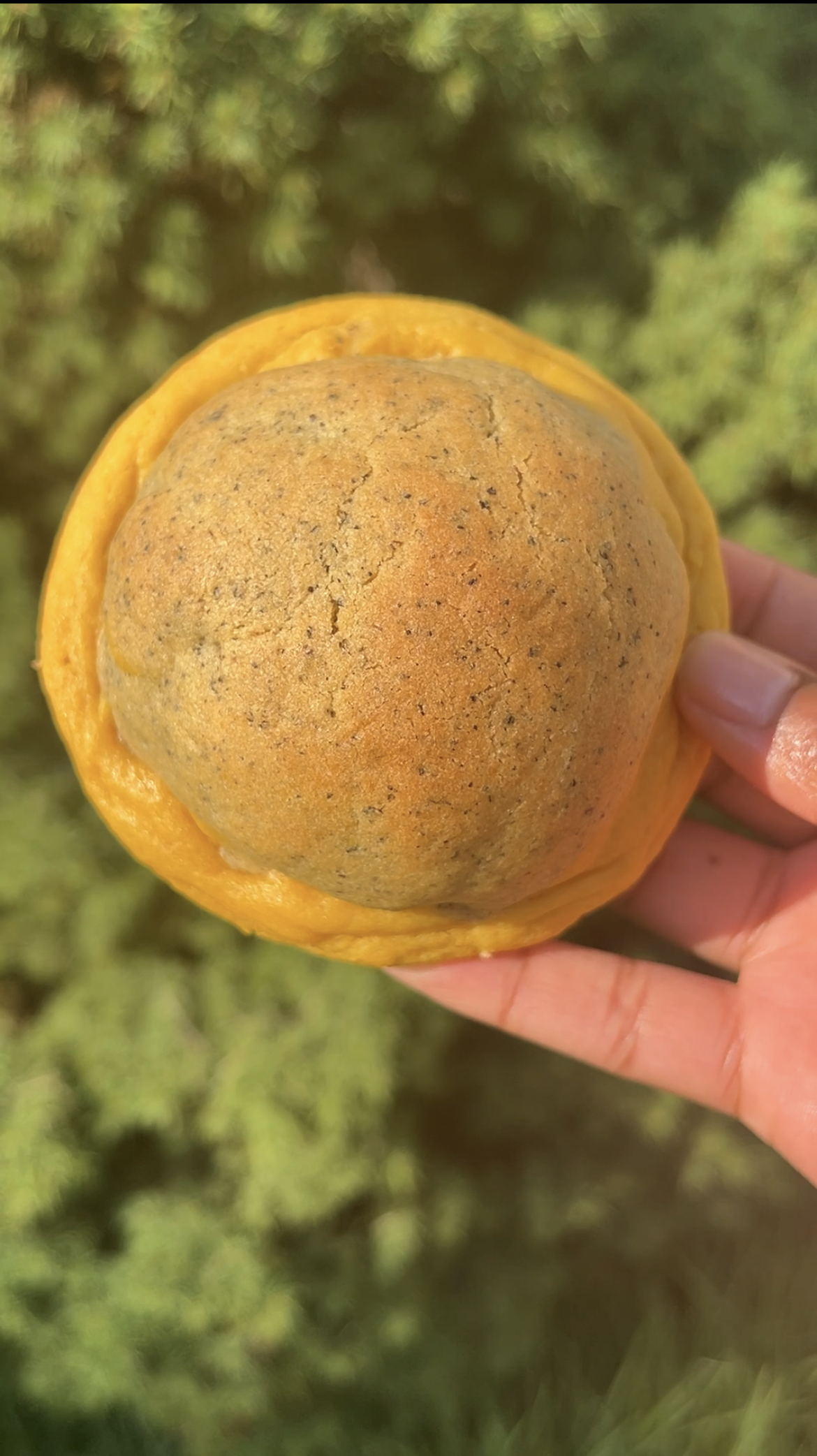 Half n Half front.PNG