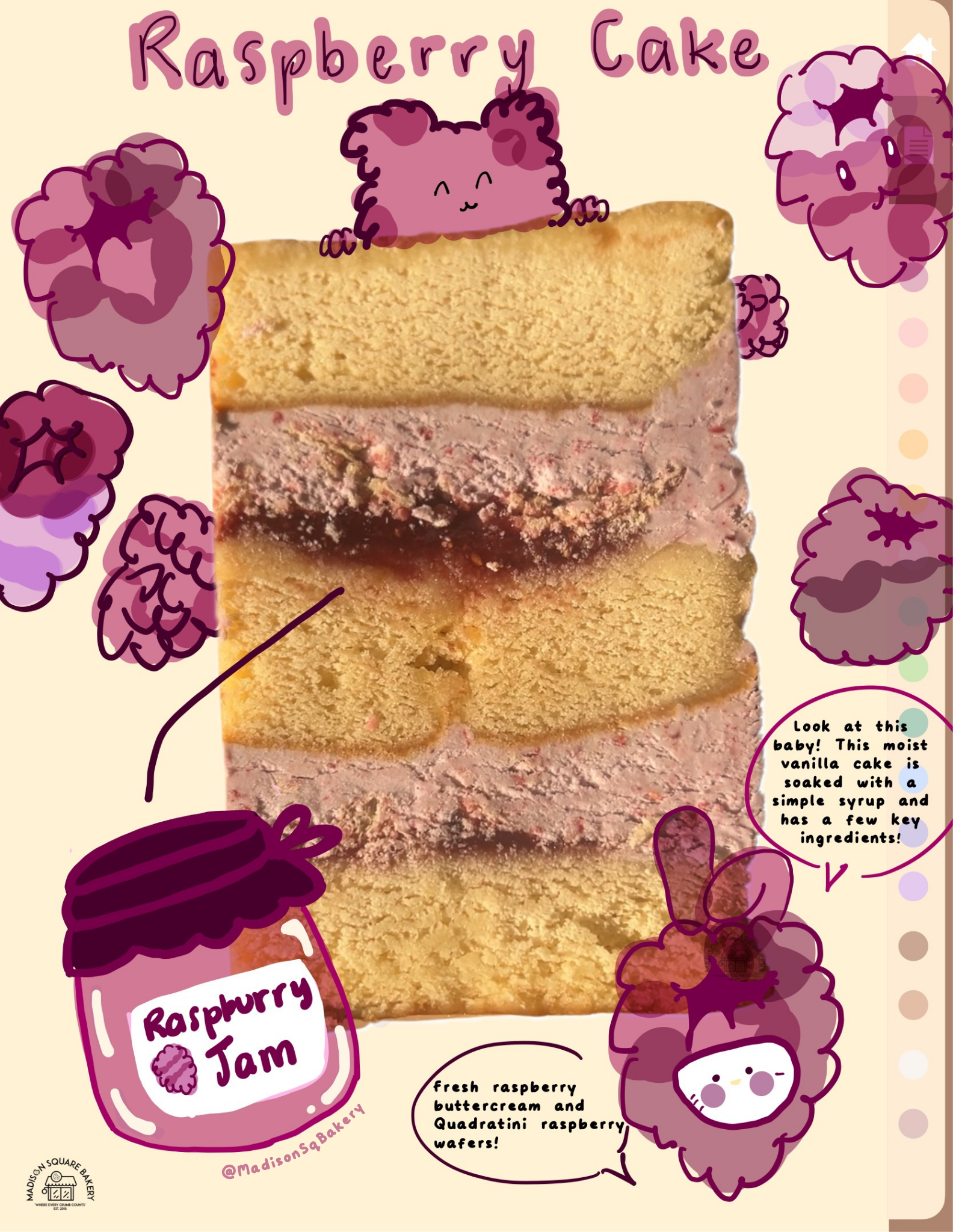 raspberry cake.png