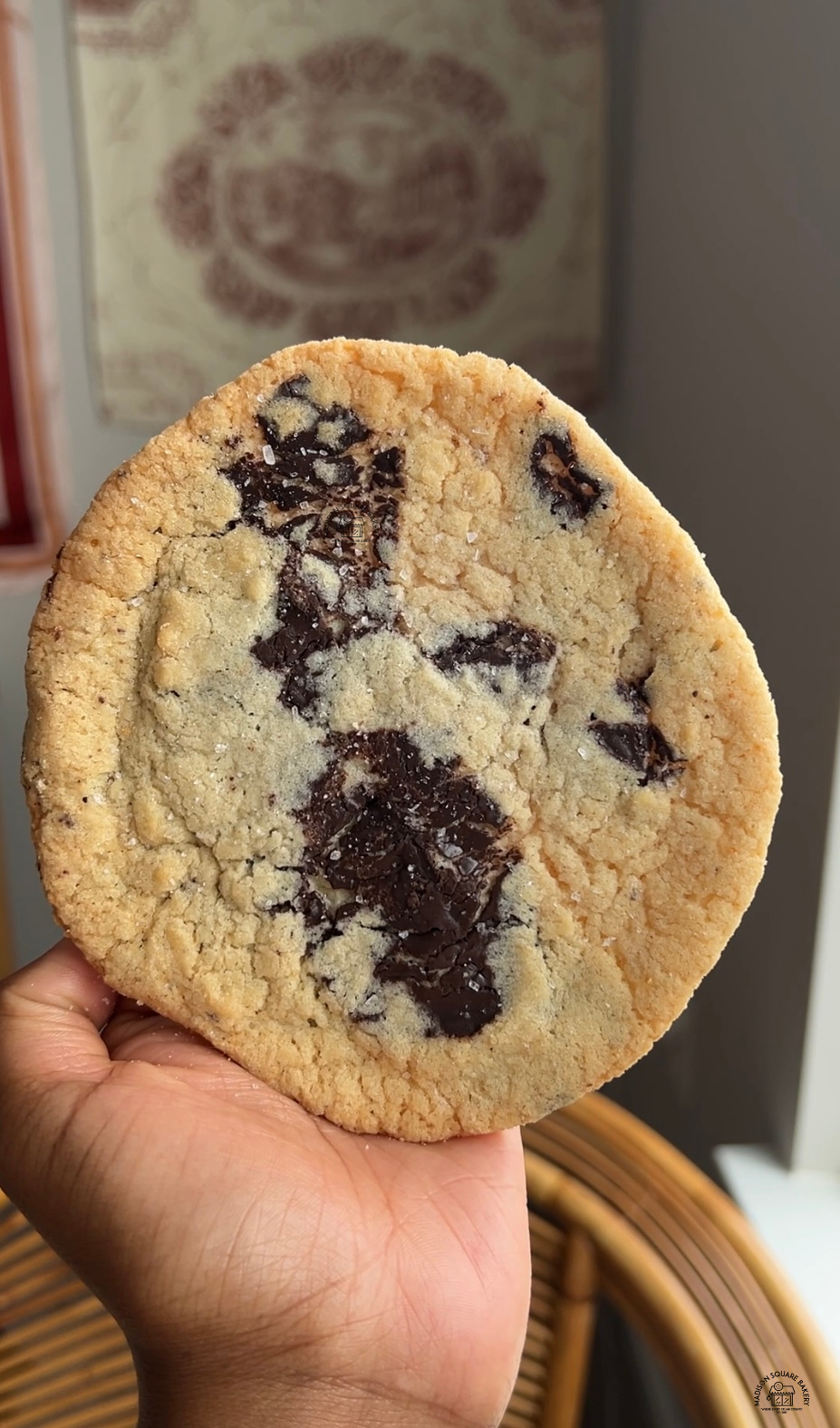 Sea Salt Chocolate Chip