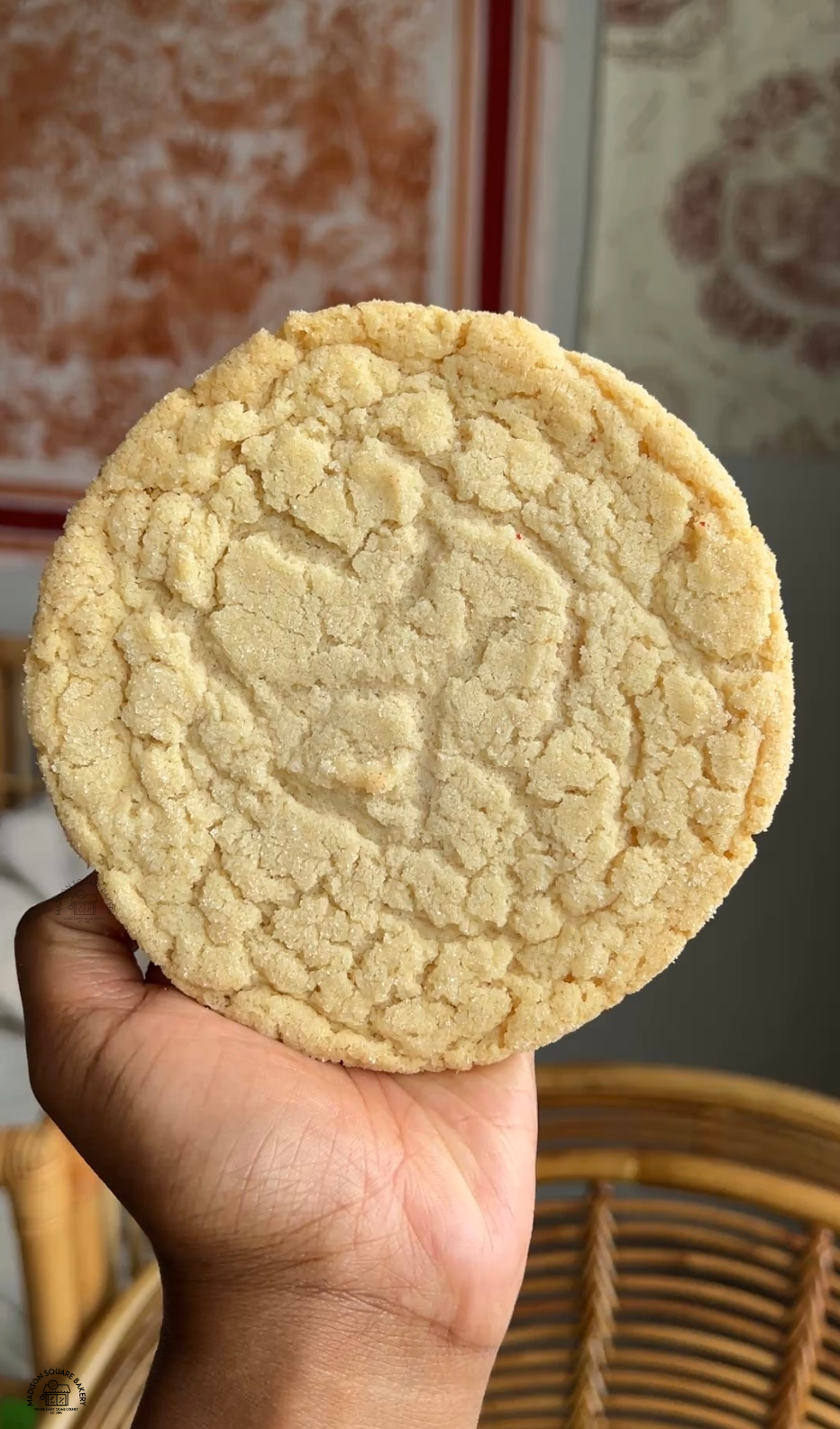 Sugar Cookie