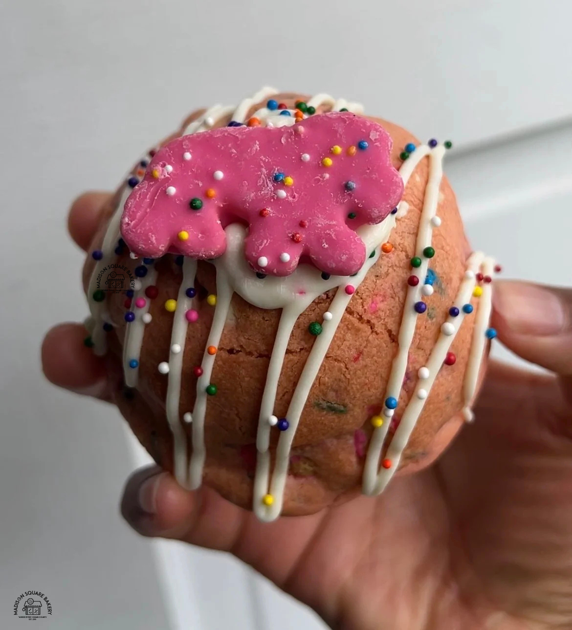 Untitled design(52).png