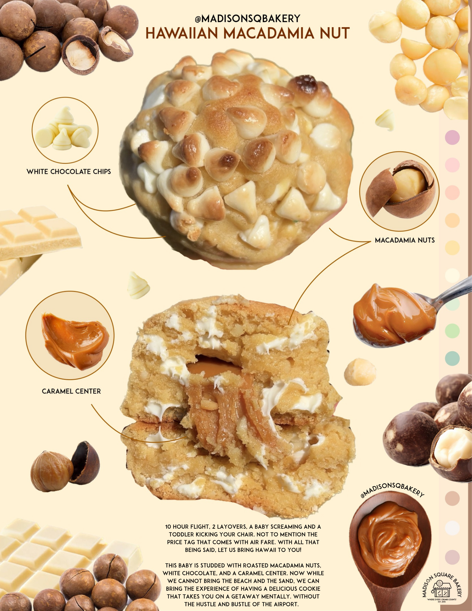 Hawaiian macadamia nut(1).png