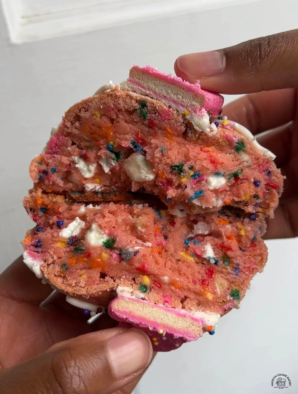 Untitled design(53).png