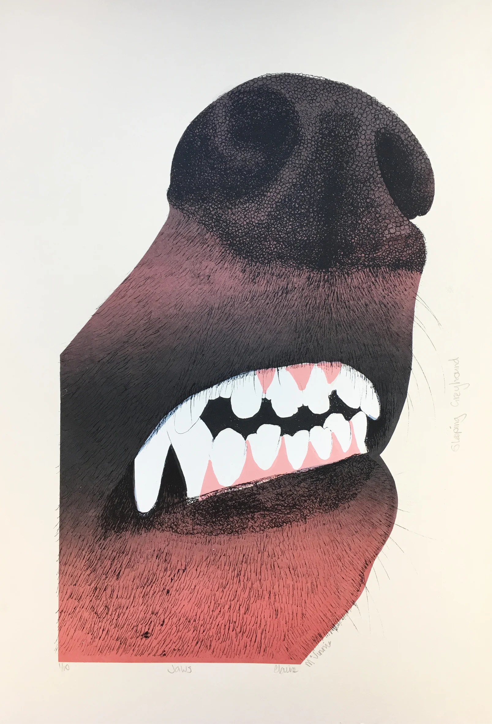 Jaws