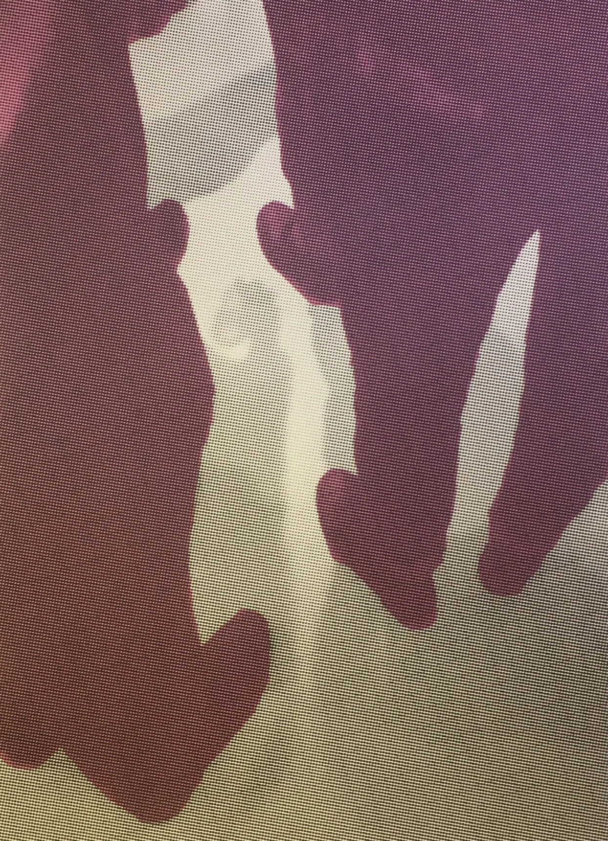 DCA 20th Birthday Celebration