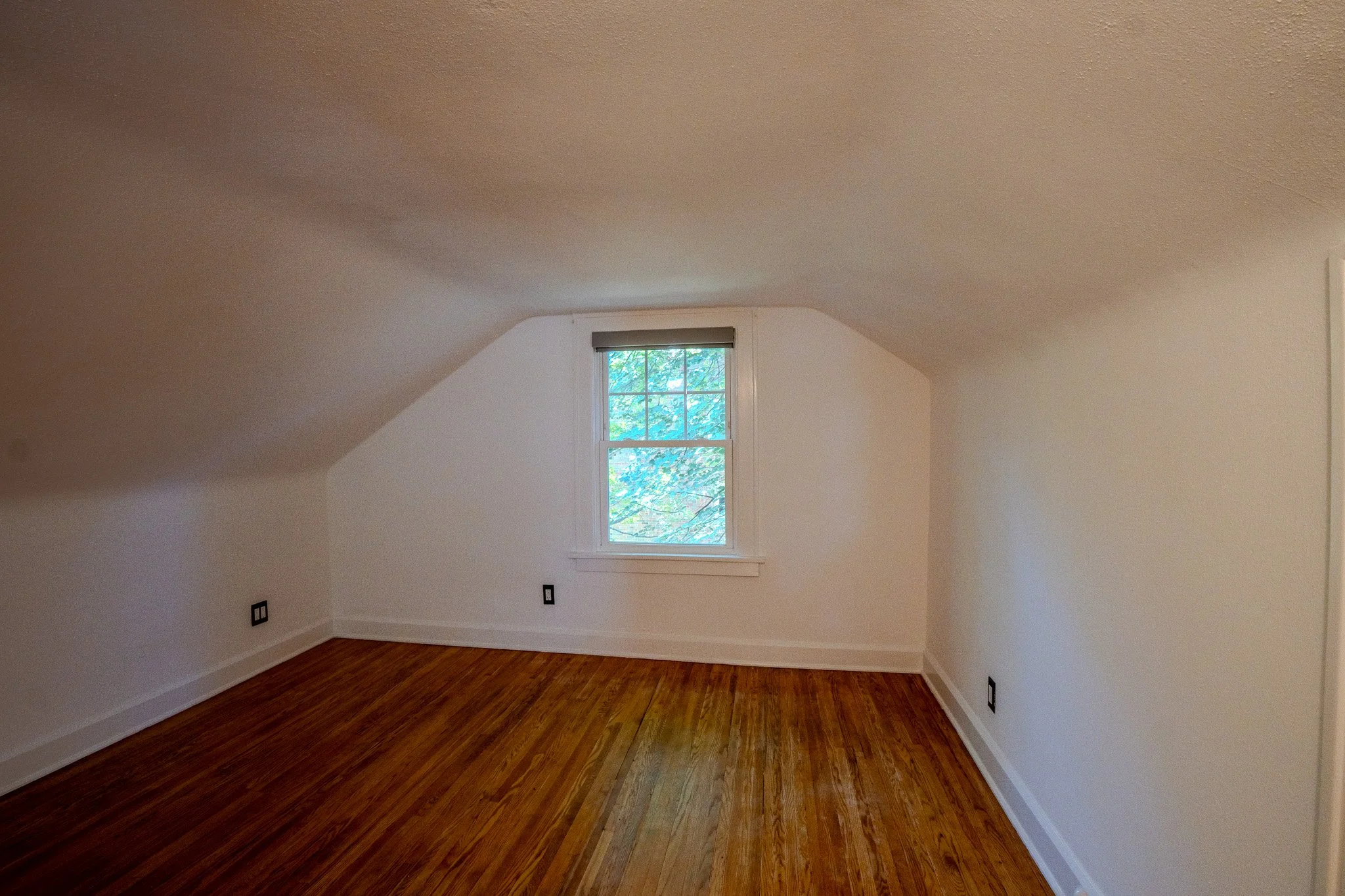 DSC03828-HDR.jpg