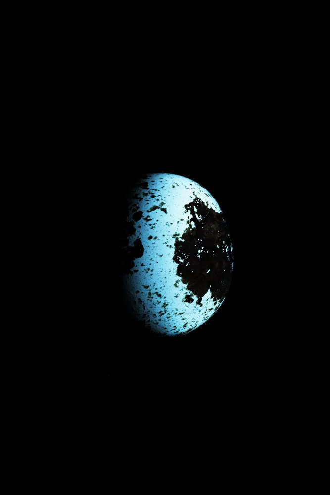 "habitáveis 05"_2017