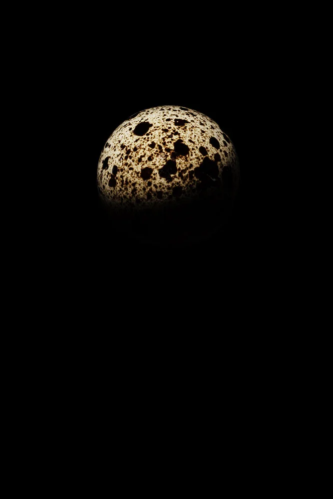 "Habitáveis 07"_2017