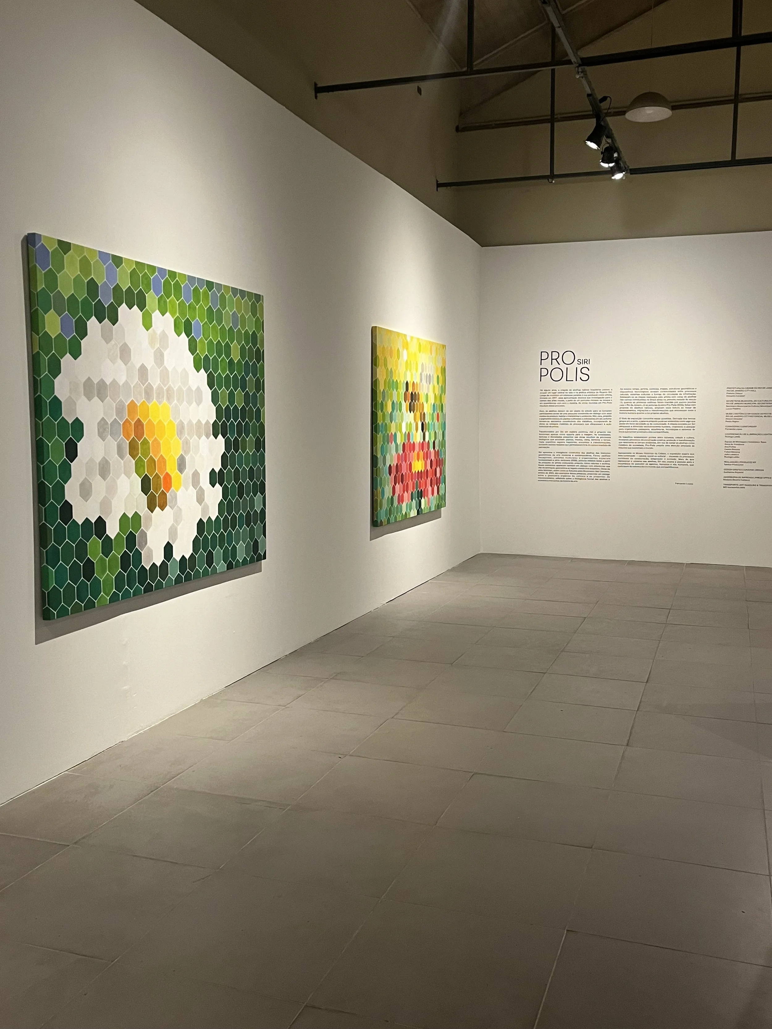 Pro-Polis_Exposição 