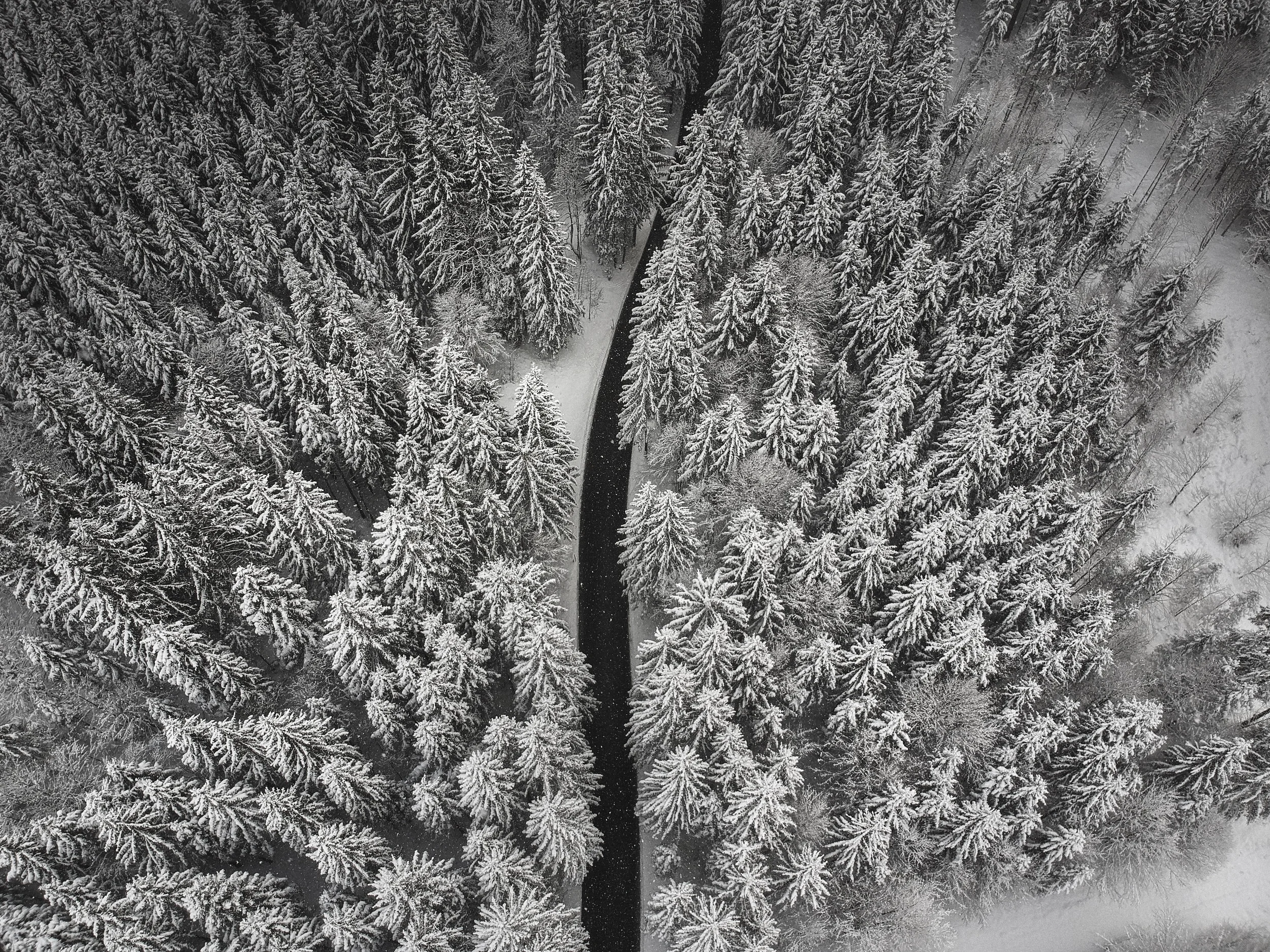 Featured projects: