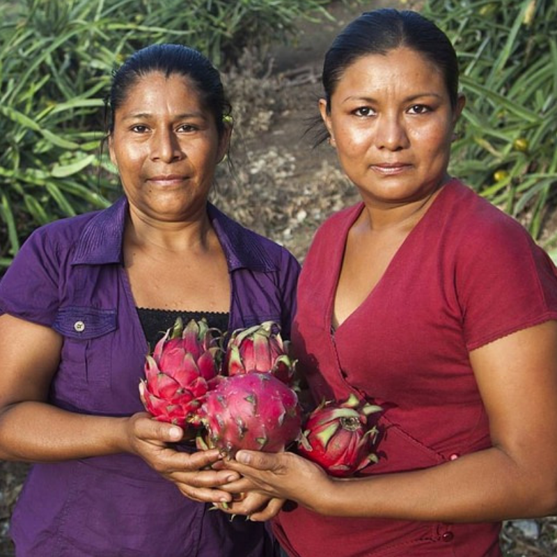 Partner With US — Burke Agro de Nicaragua, S.A.