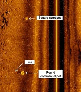 Figure 6. Image of two crob pots. The upper pot is a 2 ft. square sport pot and the lower pot is a 3 ft. round commercial Dungeness crab pot with line trailing off to the left. The pocked texture of the bottom indicates gas charged sediments that have collapsed.