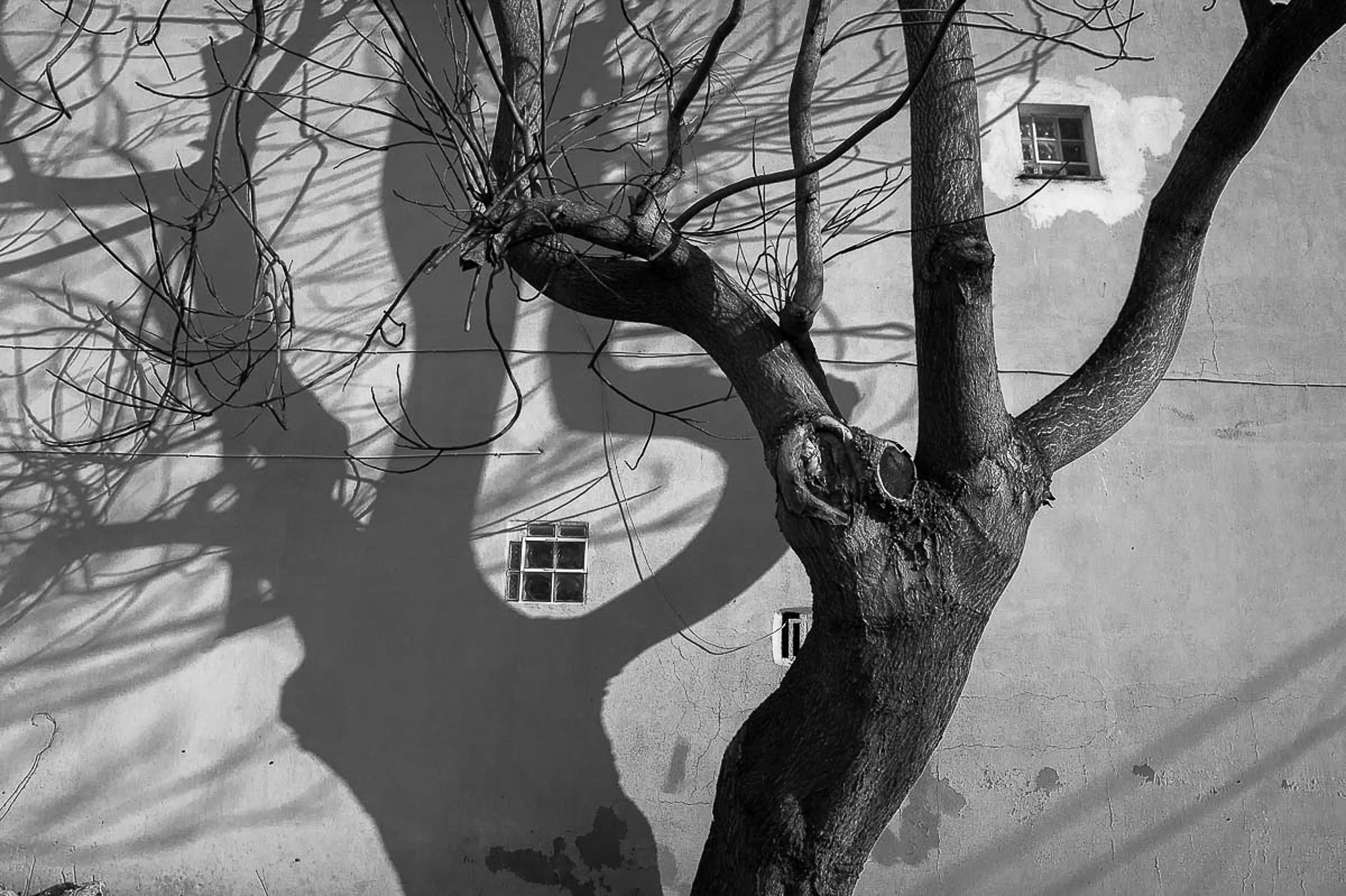 Hidden spaces  (8)-1.JPG