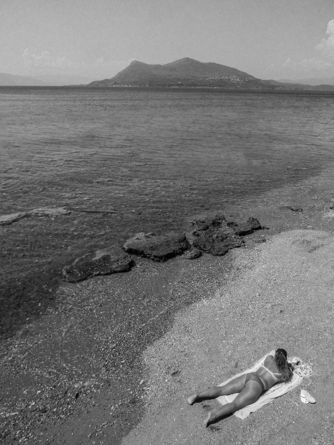 011-P1290769-3Unfortunately Summer.JPG