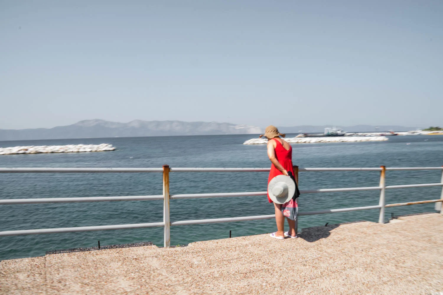 015-DSC04101-1Unfortunately Summer.JPG