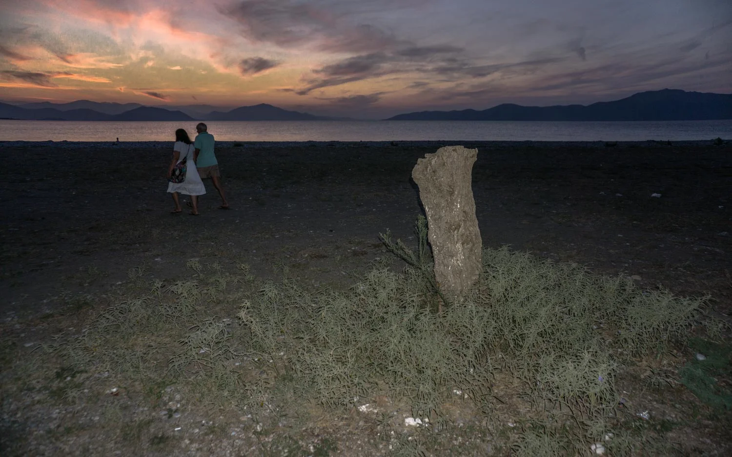 027-DSC02261α-2Unfortunately Summer.JPG