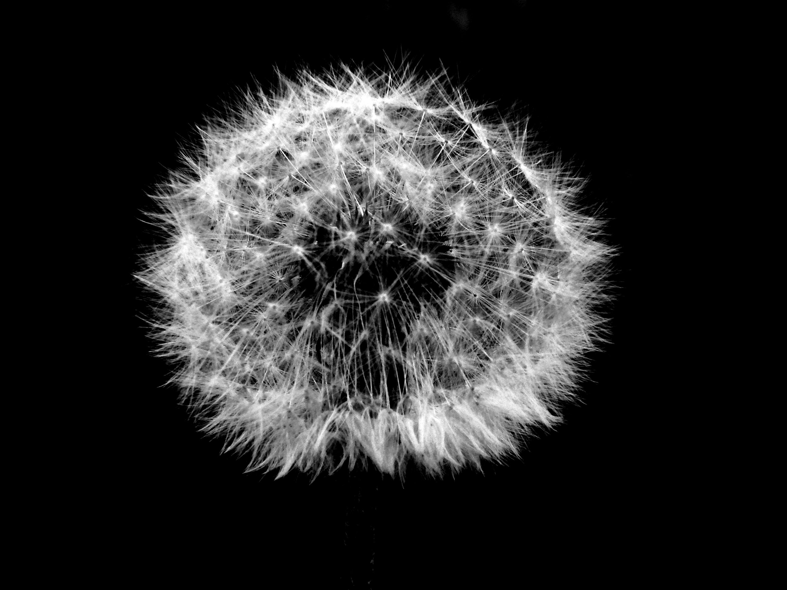 1Tasos Biris (1).jpg
