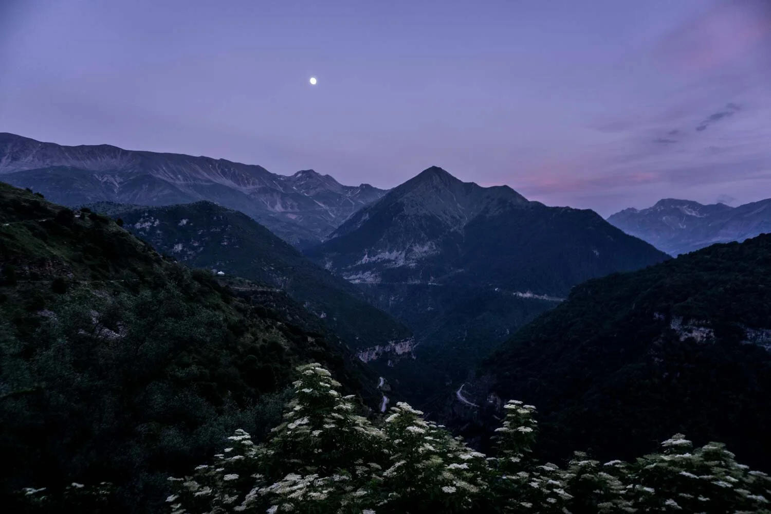 Grotesque, Tasos Biris 02.JPG