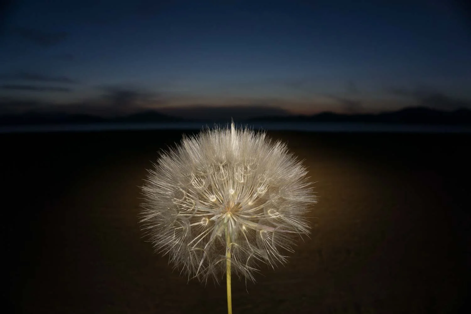 Grotesque, Tasos Biris 03.JPG