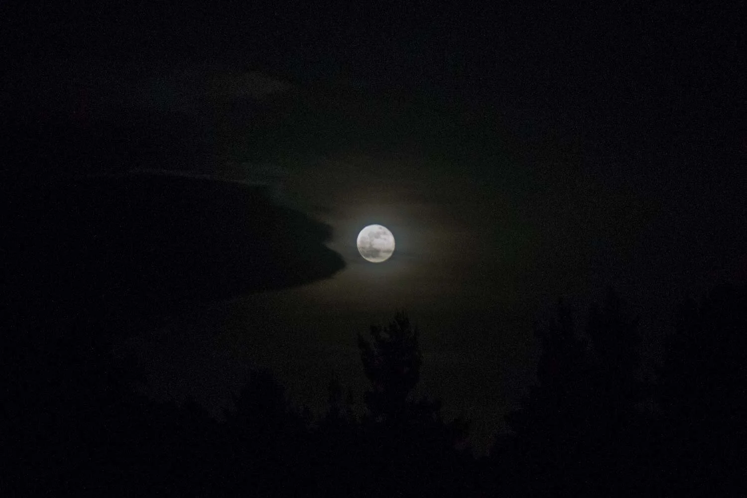 Grotesque, Tasos Biris 04.JPG