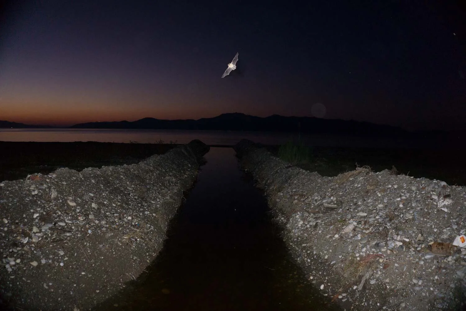 Grotesque, Tasos Biris 16.JPG