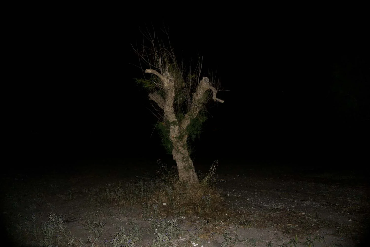 A, Tasos Biris 05.JPG