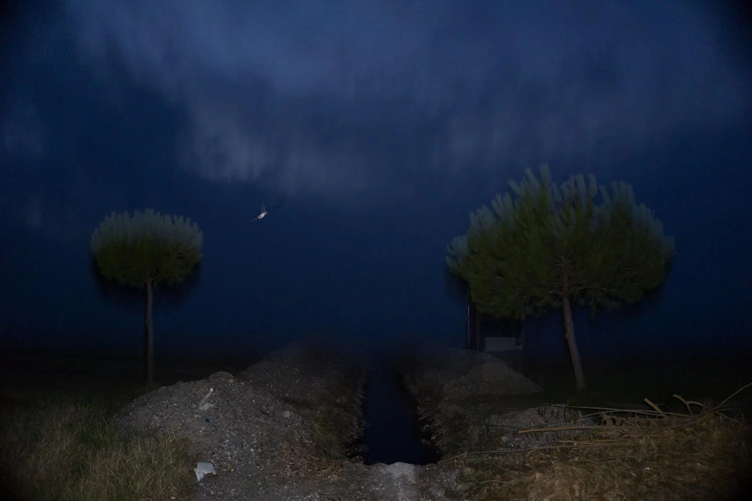 A, Tasos Biris 23.JPG