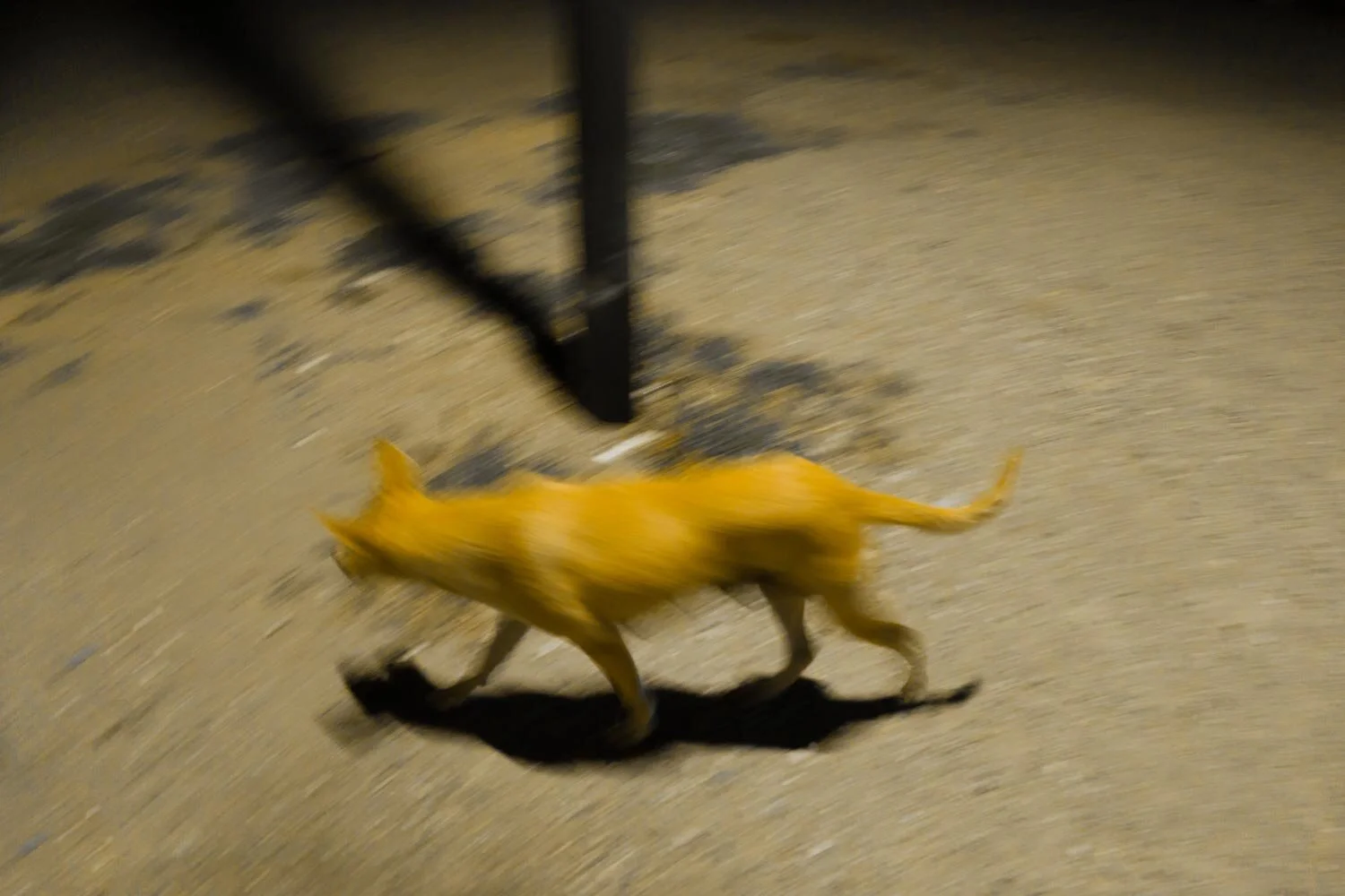 Tasos Biris,Nobody 03.JPG