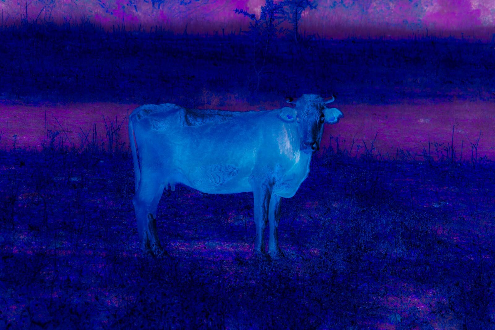 Tasos Biris, Tractatus Logico-Philosophicus 11, DSC04786-3.JPG