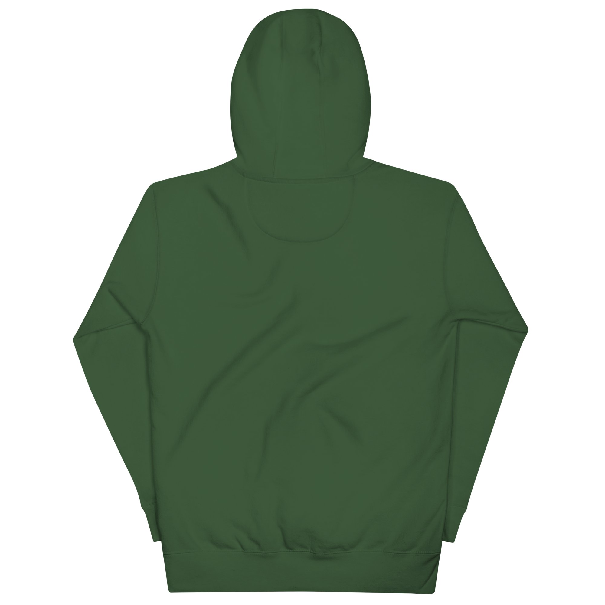 unisex-premium-pullover-hoodie-forest-green-back-69f8ac2972443.png
