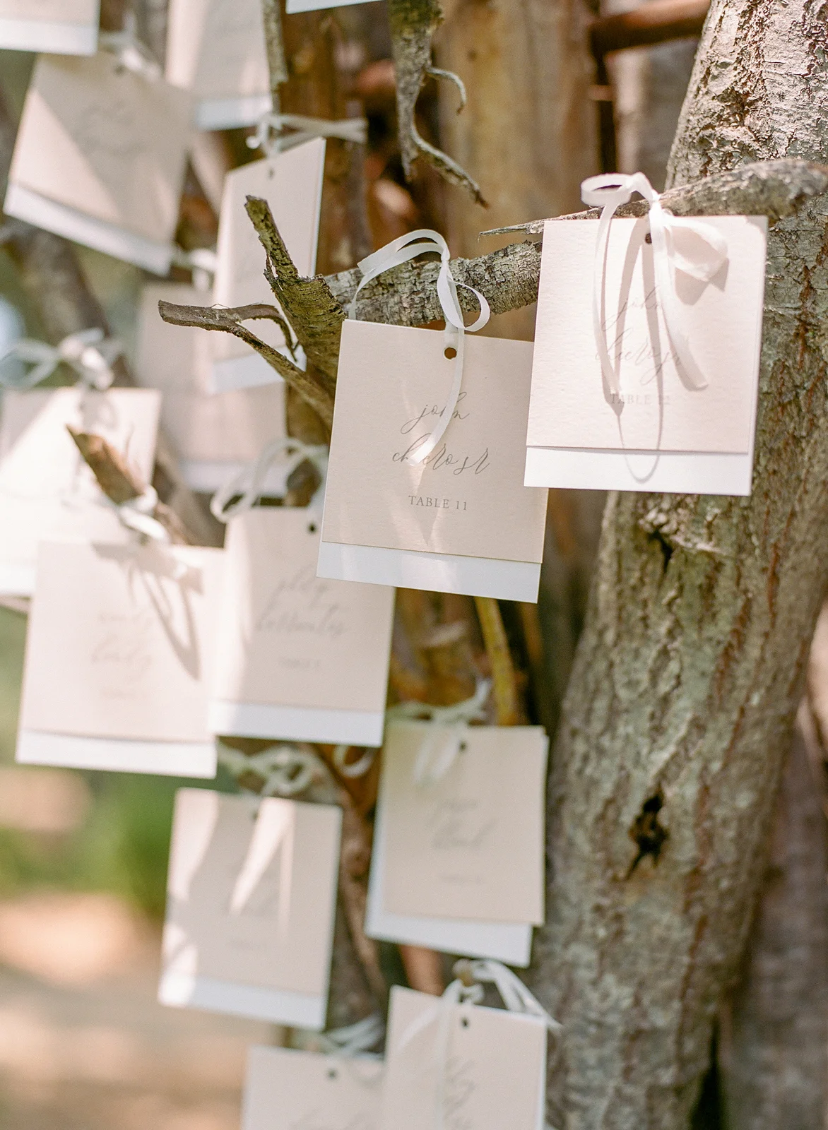 Meegan-Mike-WeddingFinal-0714.jpg