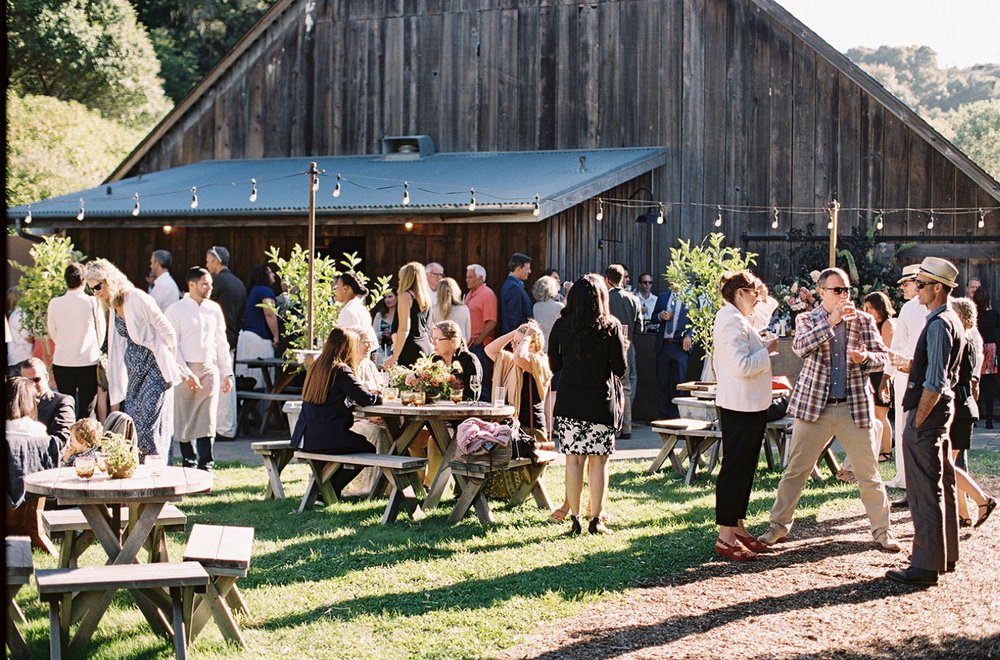 714344_upscale-barn-wedding-at-the-peace-barn.jpg