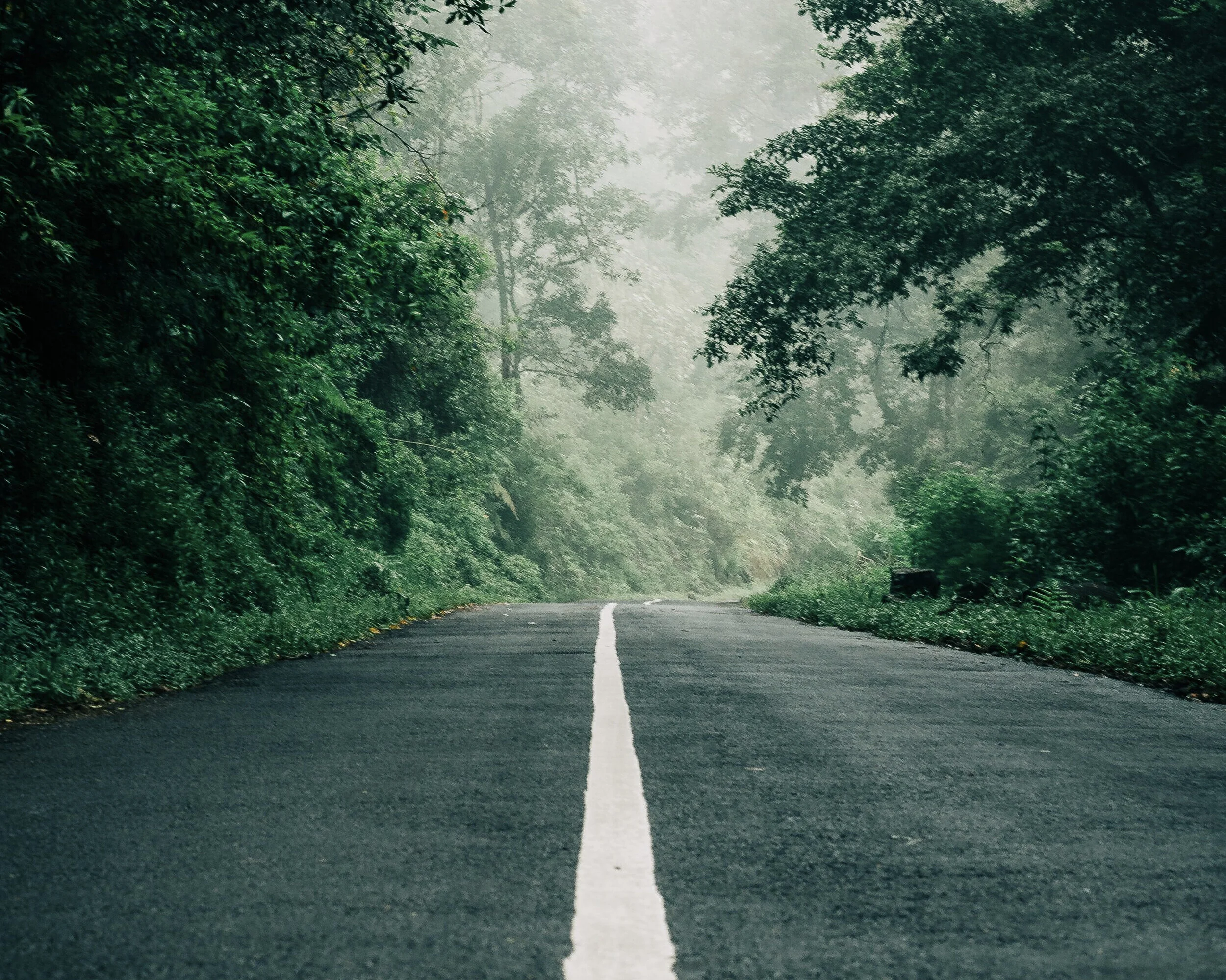 asphalt-cloud-forest-countryside-2793170.jpg