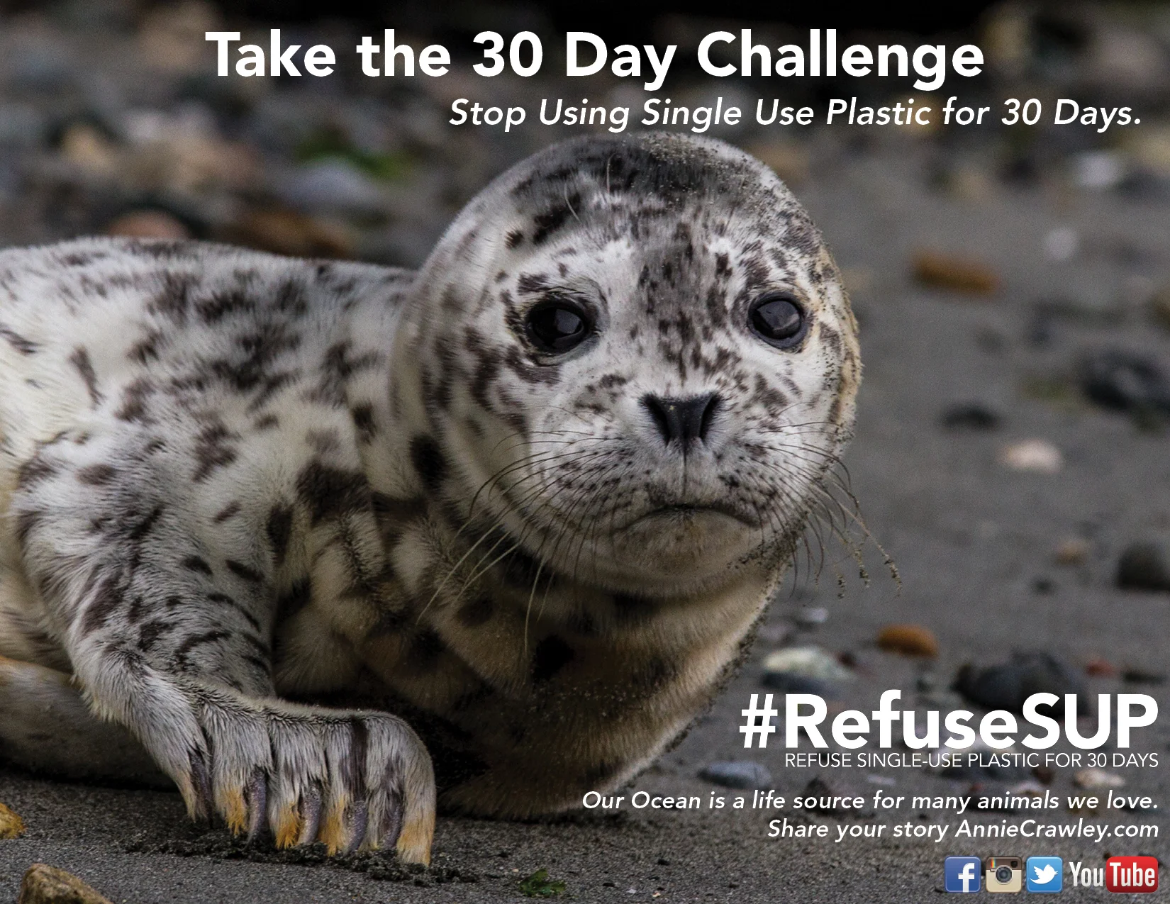 30 Day Challenge Refuse Single Use Plastic Seal.jpg