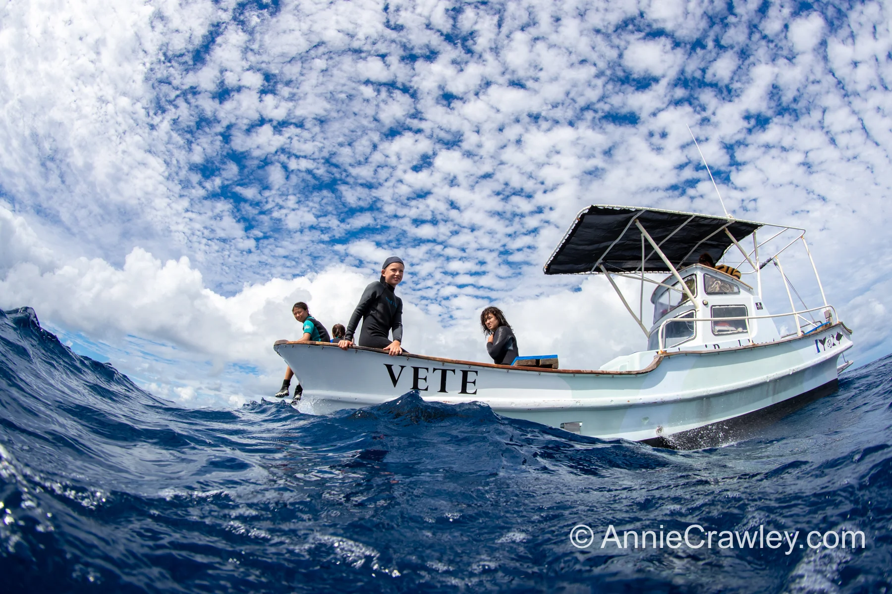 Tonga Humpback Whales Annie Crawley-9578.jpg