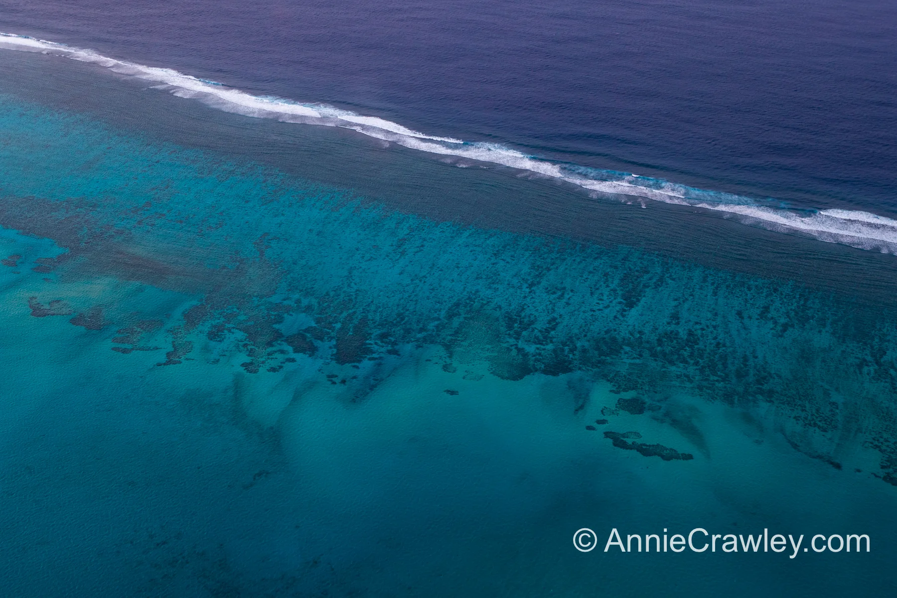 Tonga Humpback Whales Annie Crawley-9640.jpg