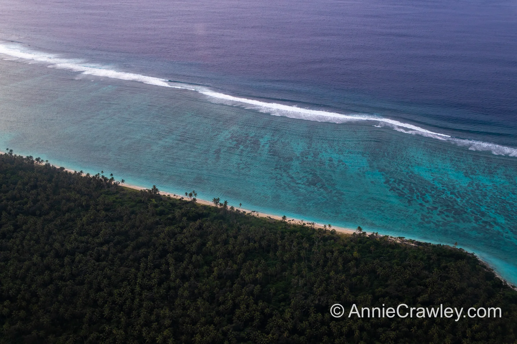 Tonga Humpback Whales Annie Crawley-9653.jpg
