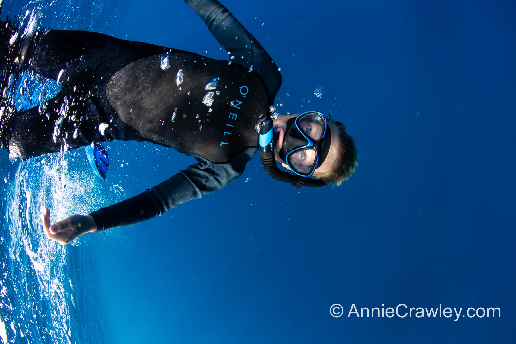 Tonga Humpback Whales Annie Crawley-9710.jpg